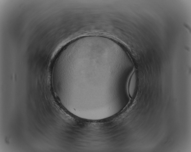 X0000091541506200709071052