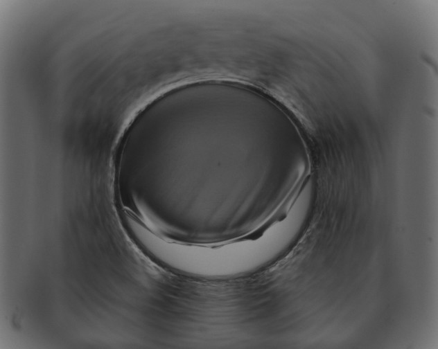 X0000091541508200709071052