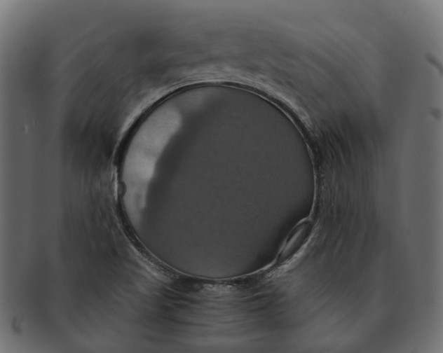 X0000091541509200709071052