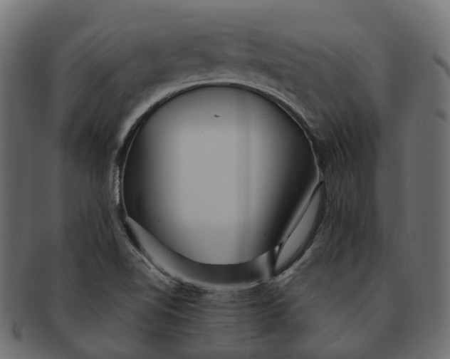 X0000091541510200709071052