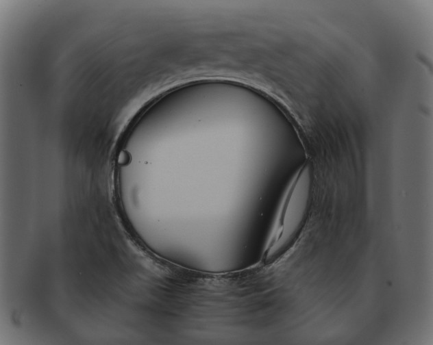 X0000091541511200709071052