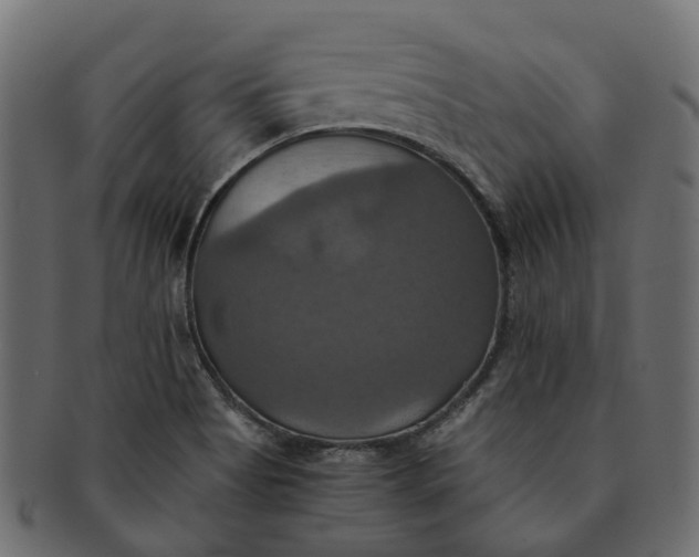 X0000091541513200709071052