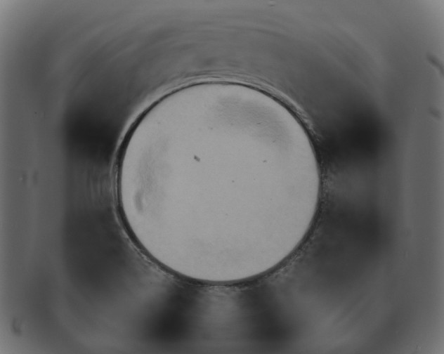 X0000091541514200709071052