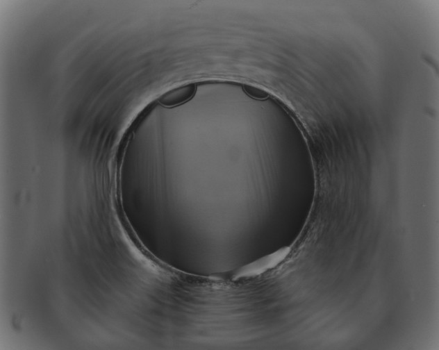 X0000091541515200709071052