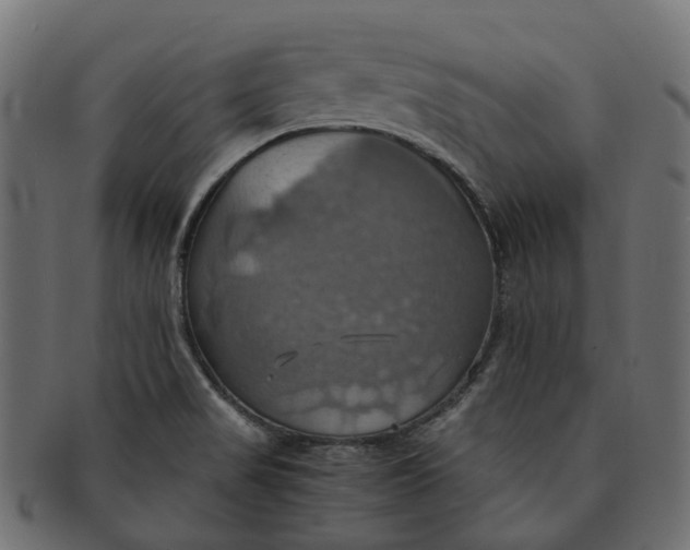 X0000091541517200709071052