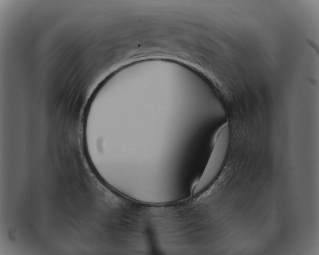 X0000091541518200709071052