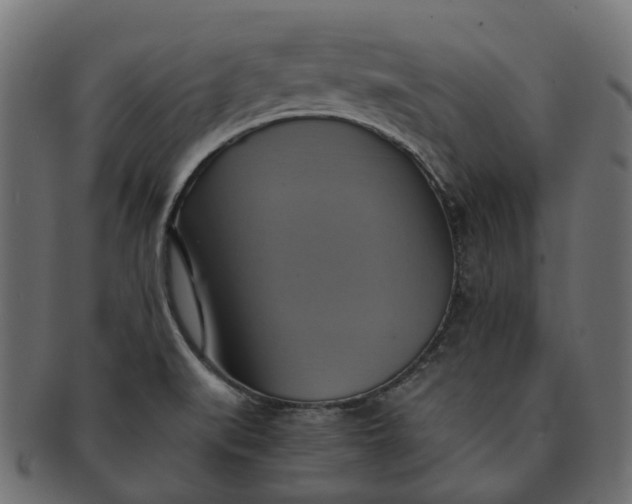 X0000091541519200709071052