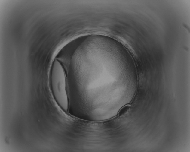 X0000091541520200709071052