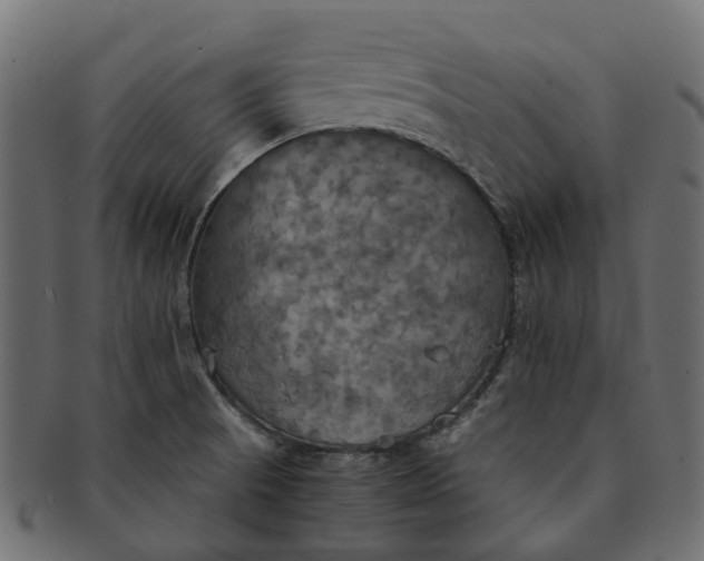 X0000091541521200709071052