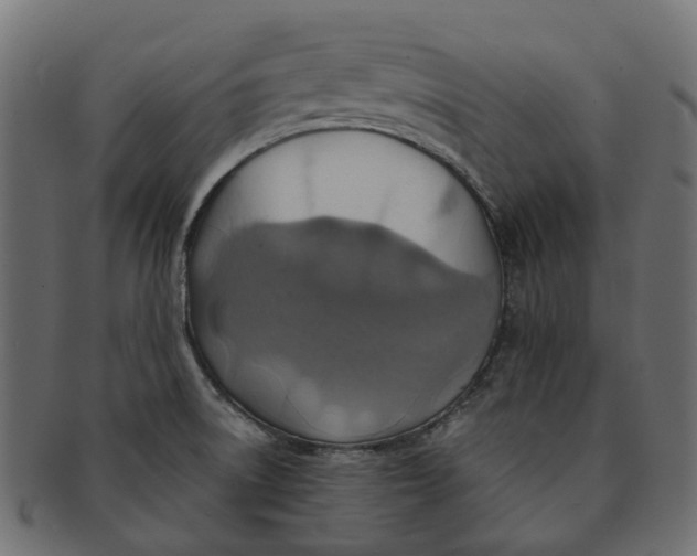 X0000091541522200709071052