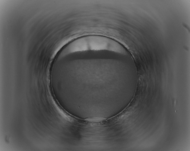 X0000091541523200709071052