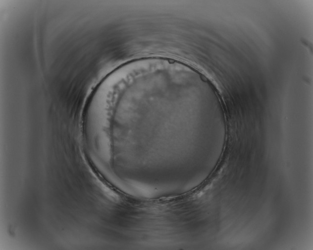 X0000091541525200709071052