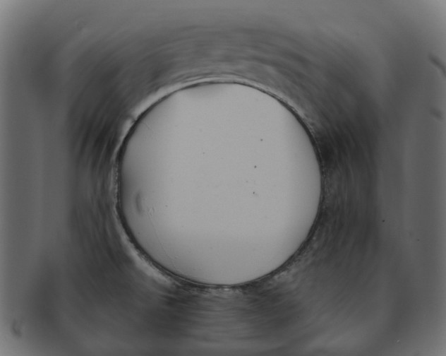 X0000091541526200709071052