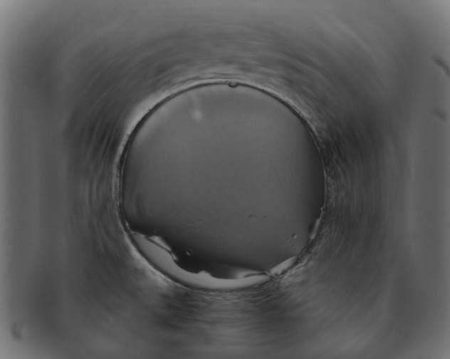 X0000091541527200709071052