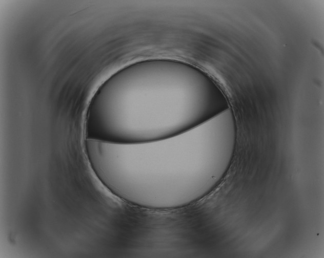 X0000091541528200709071052