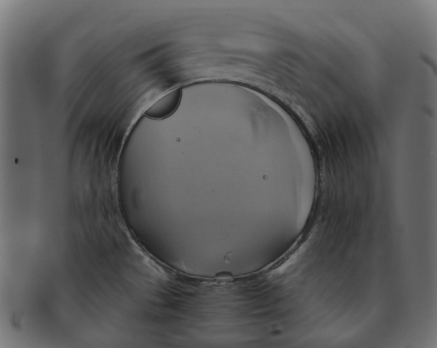 X0000091541529200709071052