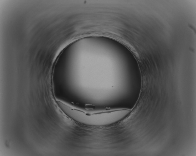 X0000091541530200709071052