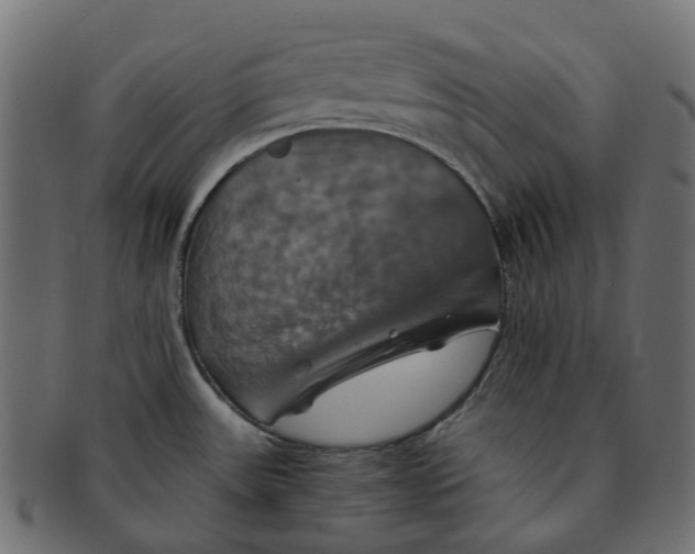 X0000091541531200709071052