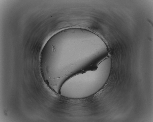 X0000091541532200709071052