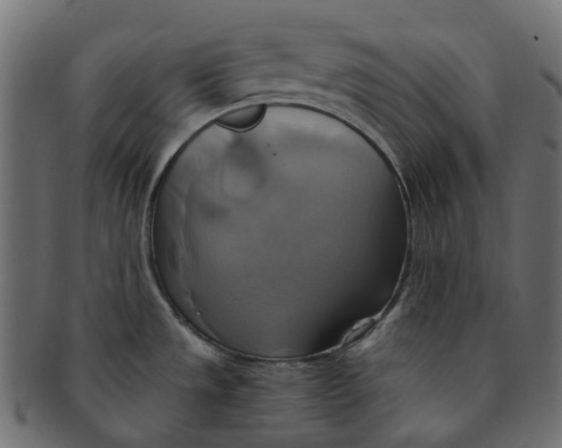 X0000091541533200709071052