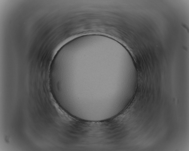 X0000091541534200709071052