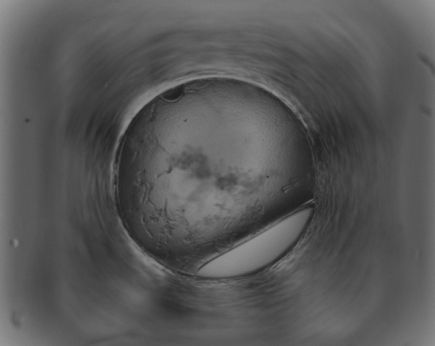 X0000091541535200709071052