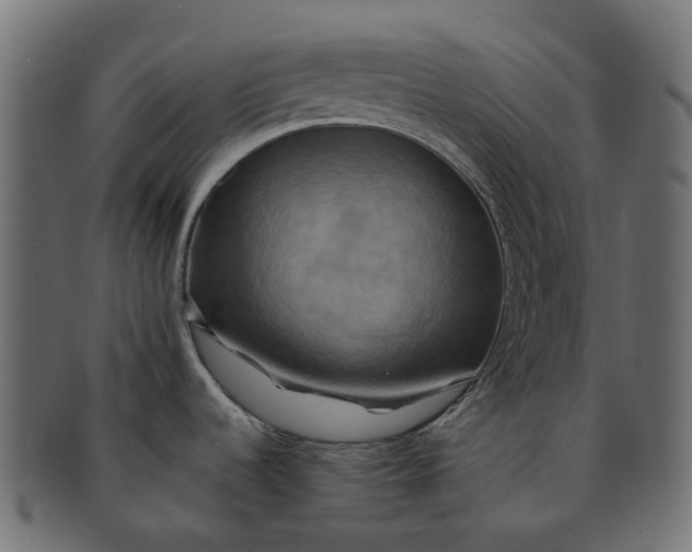 X0000091541536200709071052