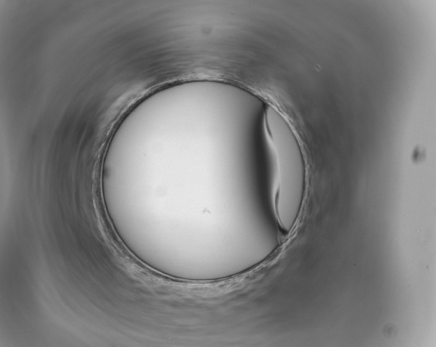 X0000091540001200709141505