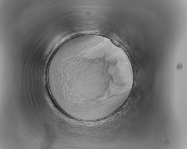 X0000091540002200709141505
