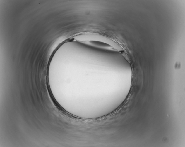 X0000091540003200709141505