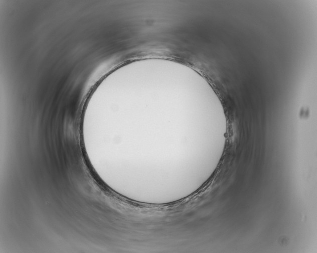 X0000091540004200709141505