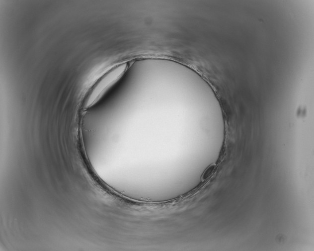 X0000091540005200709141505