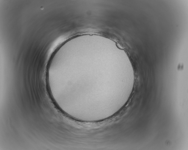 X0000091540006200709141505