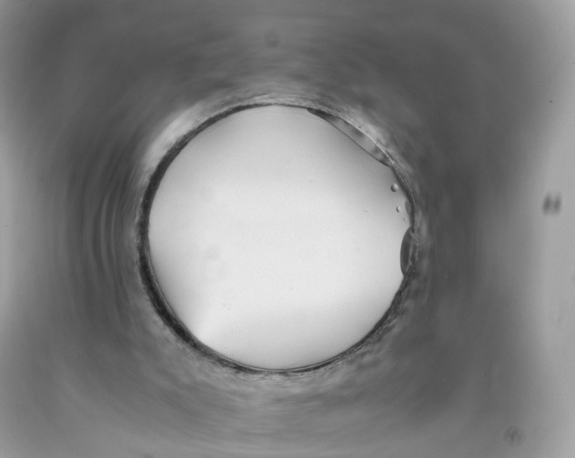 X0000091540007200709141505