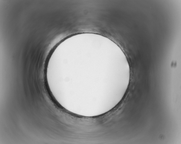 X0000091540008200709141505
