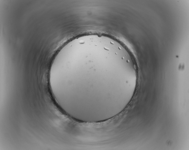 X0000091540009200709141505
