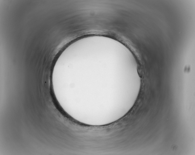 X0000091540011200709141505
