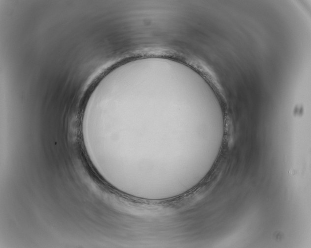 X0000091540012200709141505