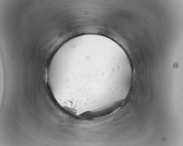 X0000091540013200709141505