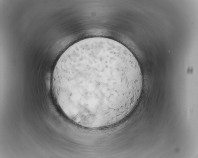 X0000091540014200709141505
