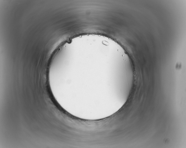 X0000091540015200709141505