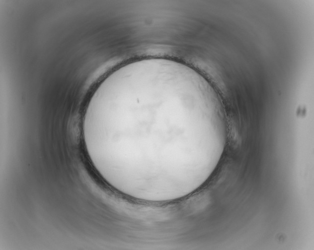 X0000091540016200709141505