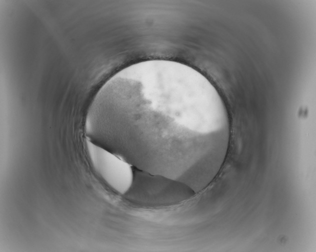 X0000091540017200709141505