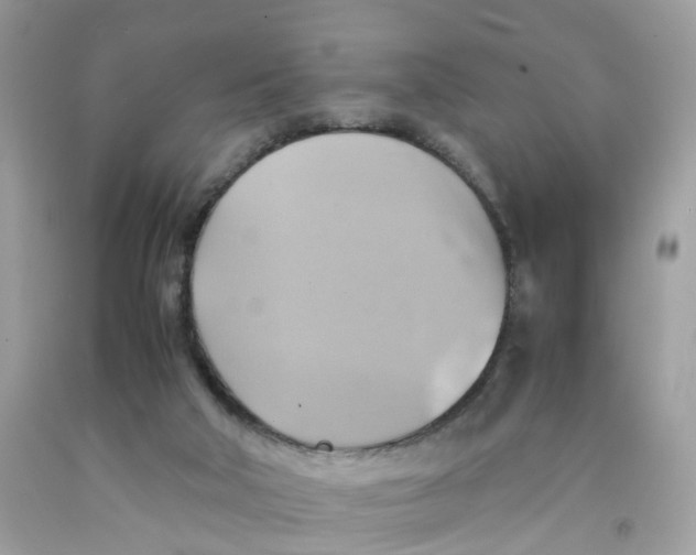 X0000091540018200709141505