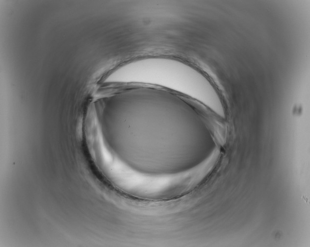 X0000091540019200709141505