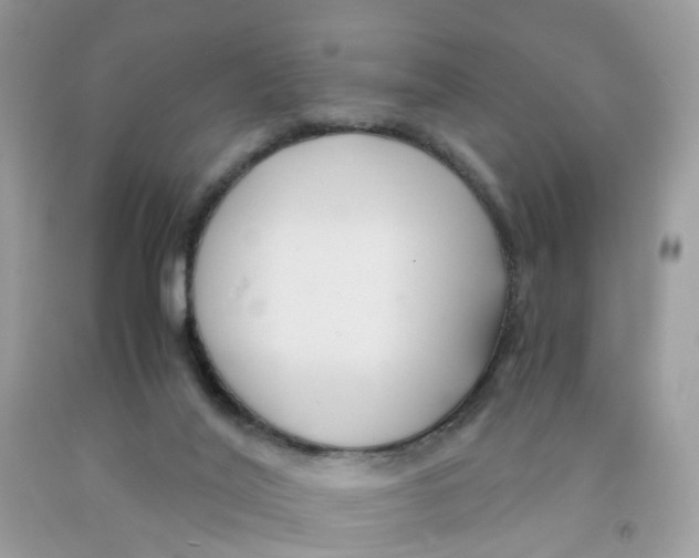 X0000091540020200709141505