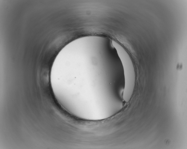 X0000091540021200709141505