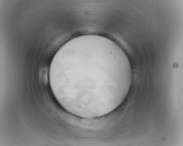 X0000091540022200709141505