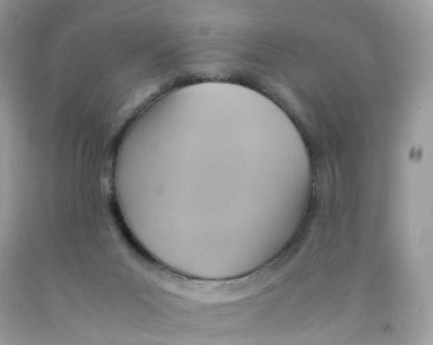 X0000091540023200709141505