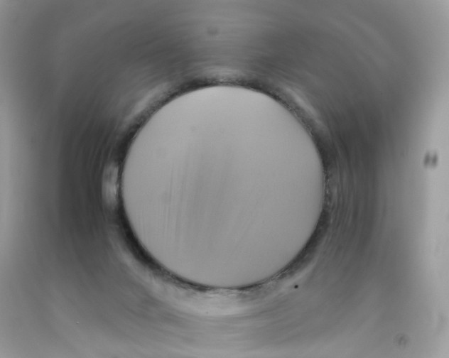 X0000091540024200709141505